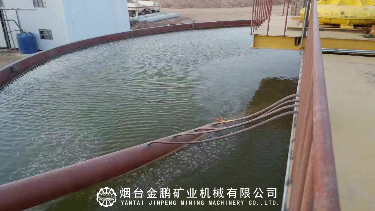 1499743553916477.jpg IMG_0216.jpg