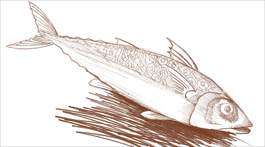 黑眼睛廣告為盛潤(rùn)食品網(wǎng)站繪制的鲅魚button