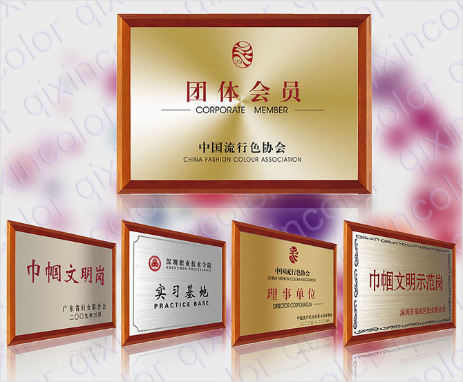 公司獲得的榮譽、獎牌